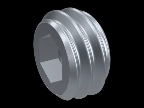 Jam Screw (Holo-Krome)