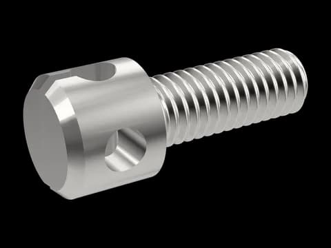Slotted Capstan Screw DIN 404