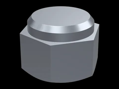 Hex Cap Nut Low Type DIN 917
