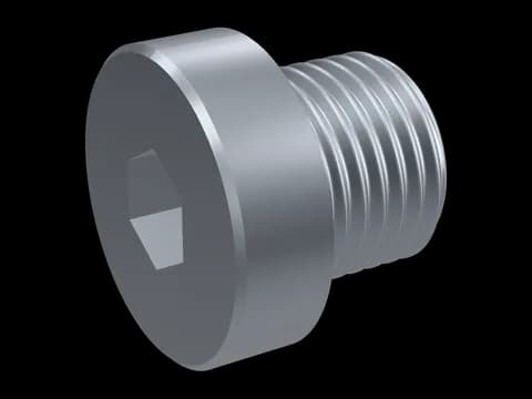 Hex Socket Screw Plug with Collar DIN 908
